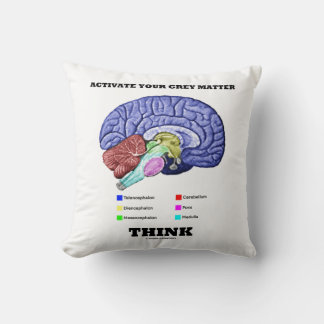Cojín Decorativo Activar Tu Materia Gris Piensa Anatómico Cerebro