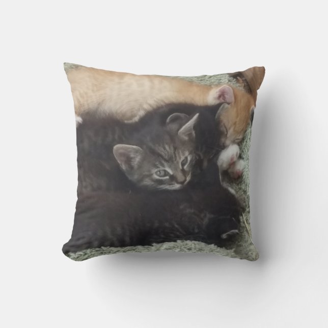 Cojín Decorativo Adorable Kittens Pillow (Anverso)