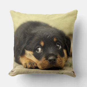 Cojín Decorativo Adorable Rottweiler Puppy