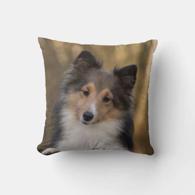 Cojín Decorativo Adorable Sheltie (Anverso)