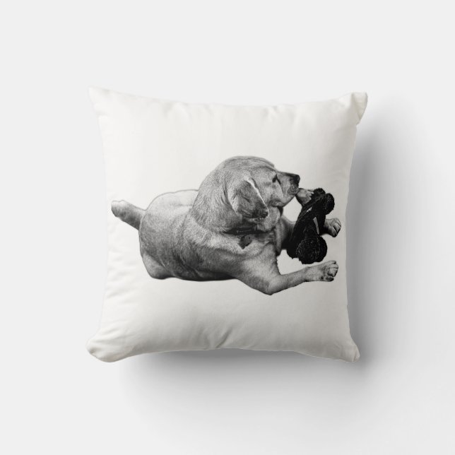 Cojín Decorativo Afecto reactivo (Anverso)