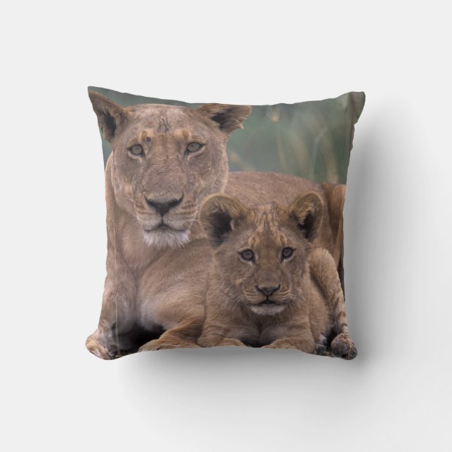 Cojín Decorativo África, Botswana, Delta del Okavango. Leones (Anverso)