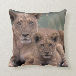 Cojín Decorativo África, Botswana, Delta del Okavango. Leones