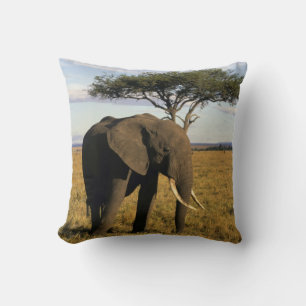 Cojín Decorativo África, Kenia, Maasai Mara. Un elefante en el