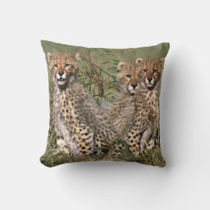 Cojín Decorativo África; Kenia; Masai Mara; Tres cachorros de guepa