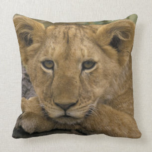 Cojín Decorativo África, Kenia. Retrato de un león.