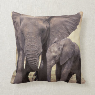 Cojín Decorativo África, Tanzania, Parque Nacional Tarangire. 2