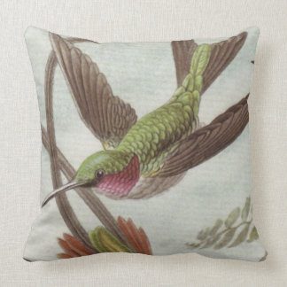 Cojín Decorativo Aguamarina/Cojín decorativo decorativo del colibrí