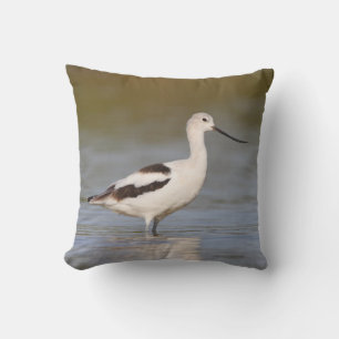 Cojín Decorativo Agujero blanco americano