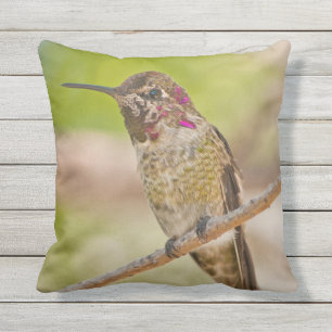 Cojín decorativo al aire libre de Hummingbird