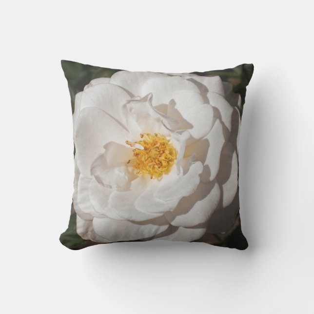 Cojín decorativo al aire libre del rosa blanco (Anverso)