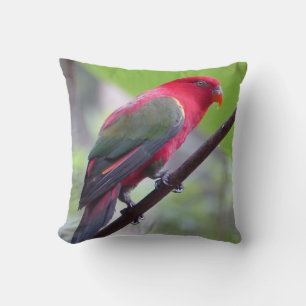 Cojín Decorativo Alas de Pájaro Ramas Jardín de Primavera Fe