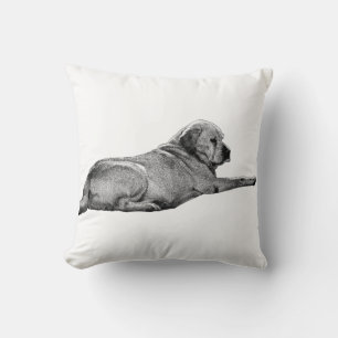 Cojín Decorativo Alcanzar la presencia