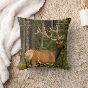 Cojín Decorativo Alce macho en terciopelo, Canadá
