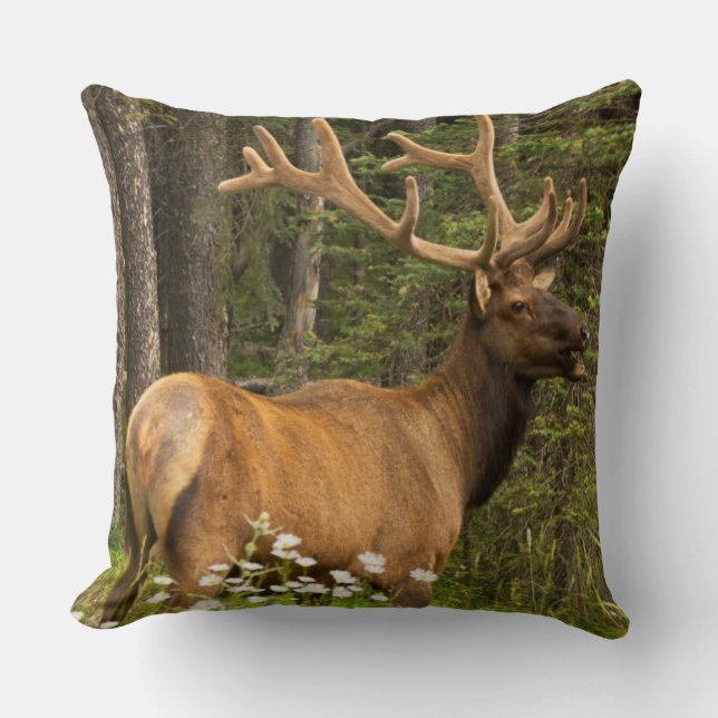 Cojín Decorativo Alce toro en terciopelo, Canadá (Anverso)