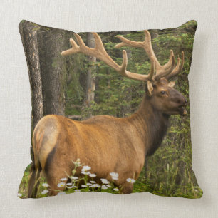 Cojín Decorativo Alce toro en terciopelo, Canadá