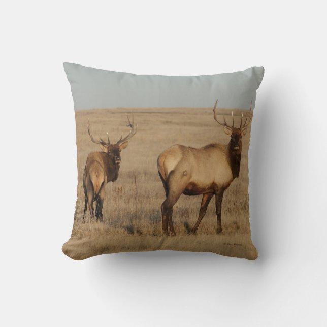 Cojín Decorativo Alces de E1 Bull (Anverso)