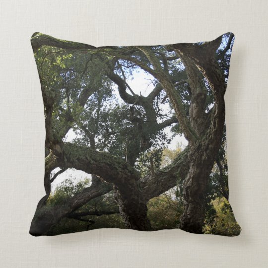 Cojín Decorativo Alcornoque o árbol del corcho, árbol elegante