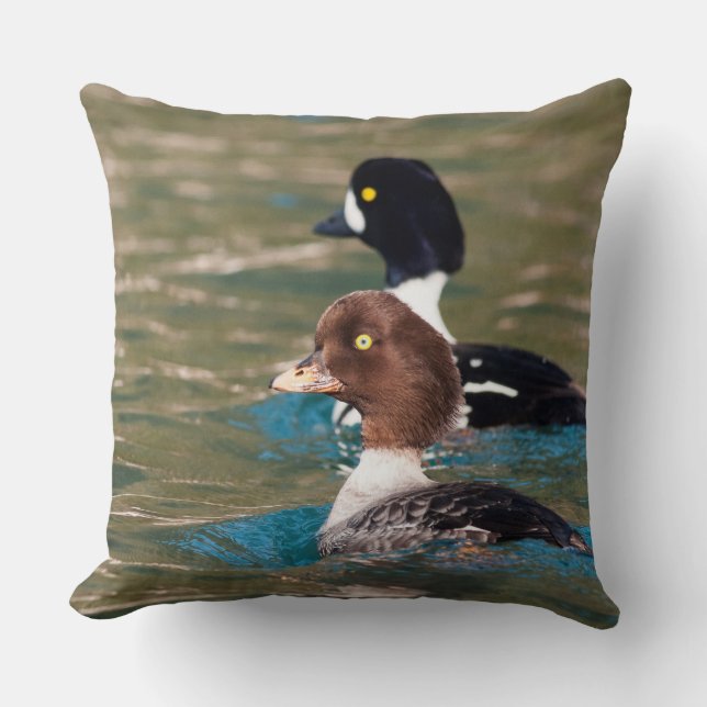 Cojín Decorativo Alert Goldeneye (Anverso)