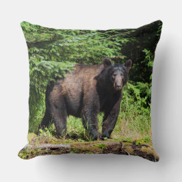 Cojín Decorativo Alfa Black Bear