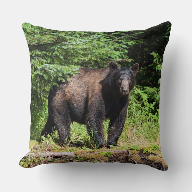 Cojín Decorativo Alfa Black Bear (Anverso)