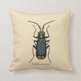 Cojín Decorativo Algodón del reversible de la entomología de los