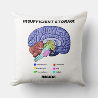 Cojín Decorativo Almacenamiento insuficiente dentro del humor de la