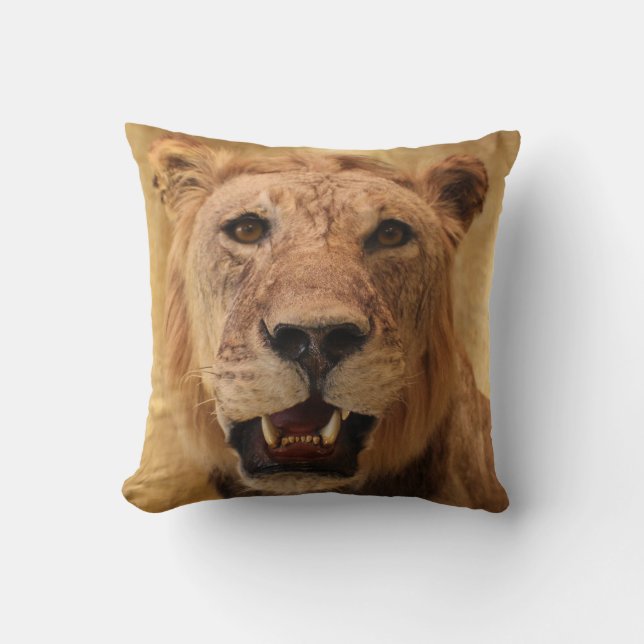 Cojín Decorativo ¡Almohada de León Cool! (Anverso)