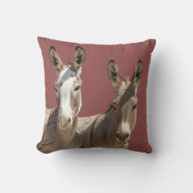 Almohada, fauna, burros, Omán, Arizona