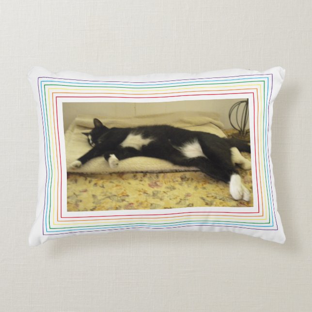 Cojín Decorativo ALMOHADÓN ACCESORIO DE FOTO DE MASCOTA / Arcoíris (Anverso)
