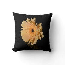 Almohadón de flor de crisantemo melocotón