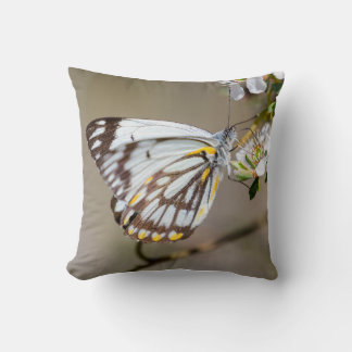 Cojín Decorativo Almohadón Mariposa 1