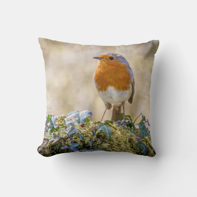 Cojín Decorativo almohadón Robin con dos hermosas fotografías (Anverso)