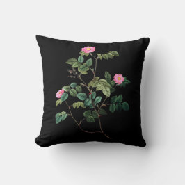 Cojín Decorativo Almohadón Rosa Rubiginosa