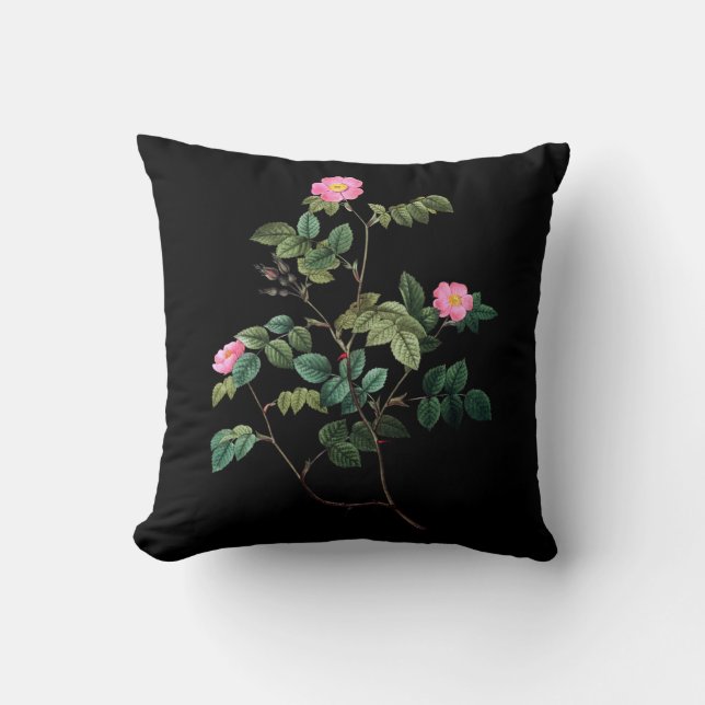 Cojín Decorativo Almohadón Rosa Rubiginosa (Anverso)