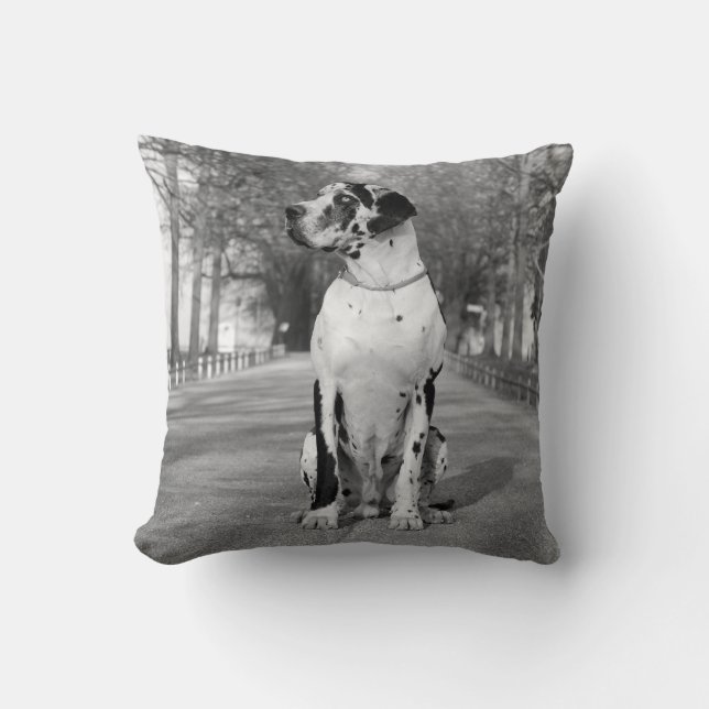 Cojín Decorativo Almohadones Doble Estampado Gran Danés (Anverso)