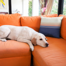 Almohín rayado de color azul y melocotón retro