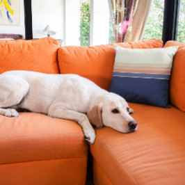 Cojín Decorativo Almohín rayado de color azul y melocotón retro