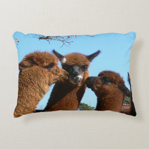 Cojín Decorativo Alpaca
