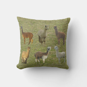 Cojín Decorativo ¿Alpacas conseguidas?
