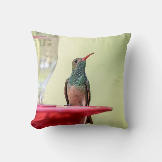 Cojín Decorativo Alumnaicorus malhus (Anverso)