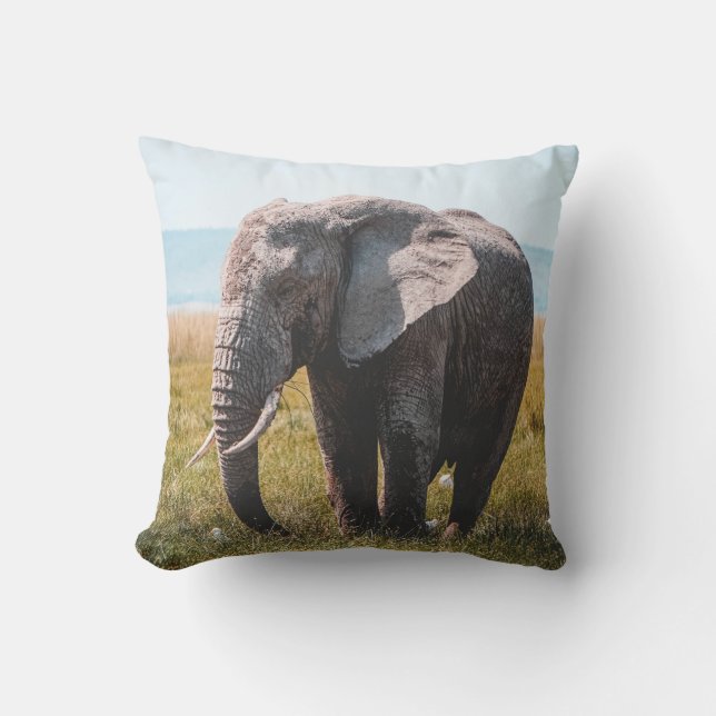COJÍN DECORATIVO AMABLE ELEFANTE (Anverso)