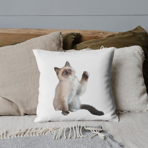 Cojín Decorativo Amante de mascotas personalizado divertido gato si
