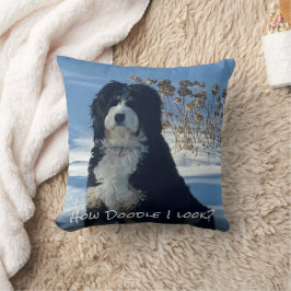 Cojín Decorativo Amante de perros Doodle decoración divertida para 