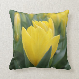 Cojín decorativo amarillo del tulipán de la