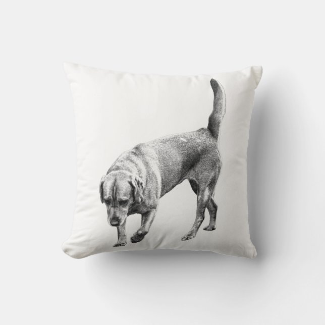 Cojín Decorativo Amber Twilight Watcher (Anverso)