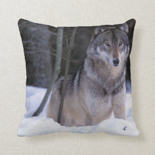 Cojín Decorativo América del Norte, Canadá, Canadá oriental, lobo g