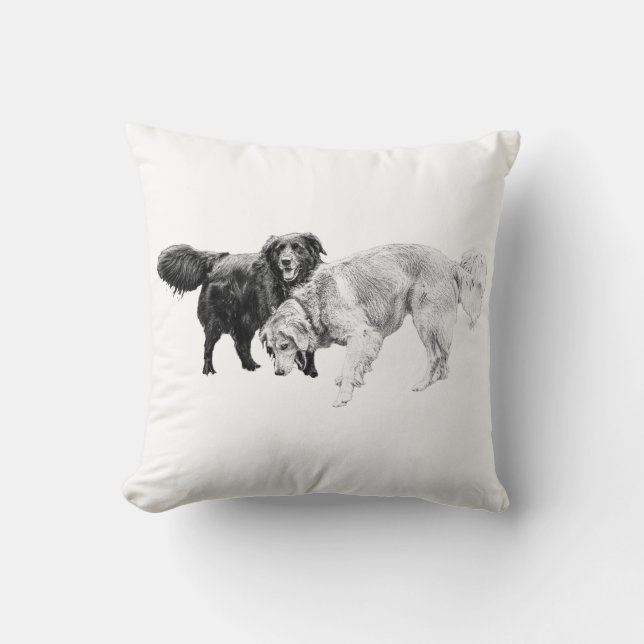 Cojín Decorativo Amigos tranquilos, noches acogedoras (Anverso)