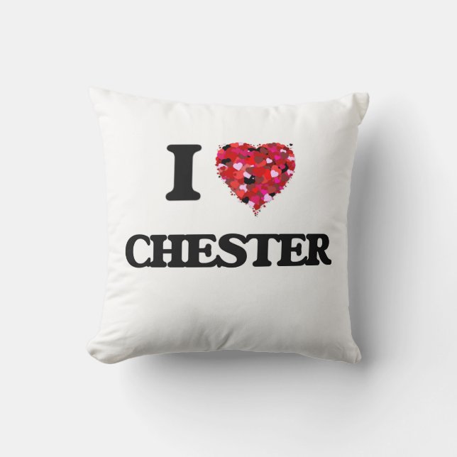 Cojín Decorativo Amo Chester (Anverso)