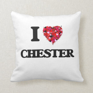 Cojín Decorativo Amo Chester